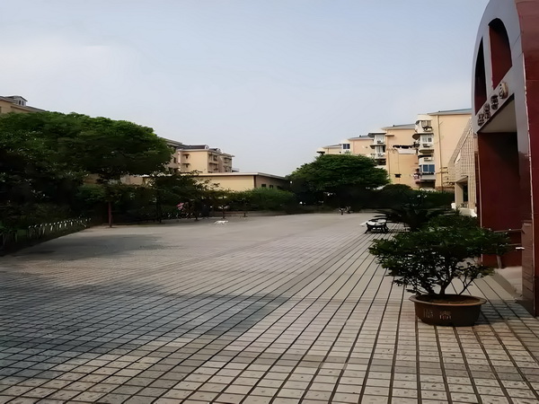 共婵娟